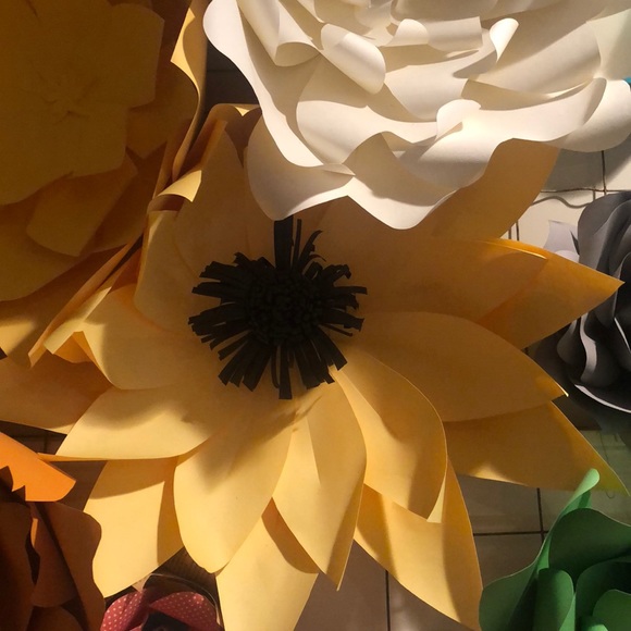 Meet your Posher, Orietta - Picture 8 of 8